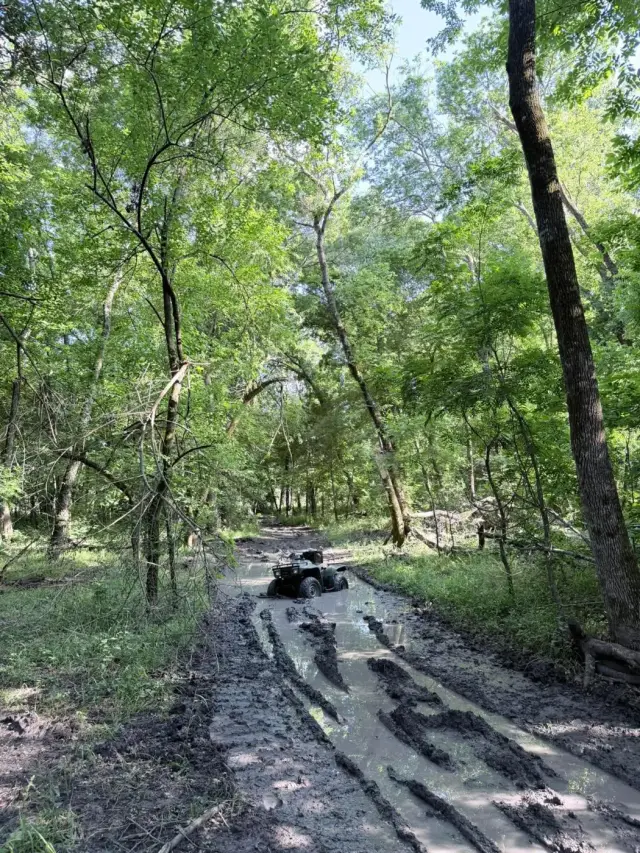 An ATV crossing a long muddy puddle under tall trees.